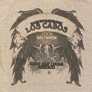 Harley-Davidson T Shirt Mens Large Skull Cabo San Lucas Mexico Gray Biker